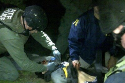 An ATF Medic places a King Airway to secure a bombing suspect's airway in Boston.